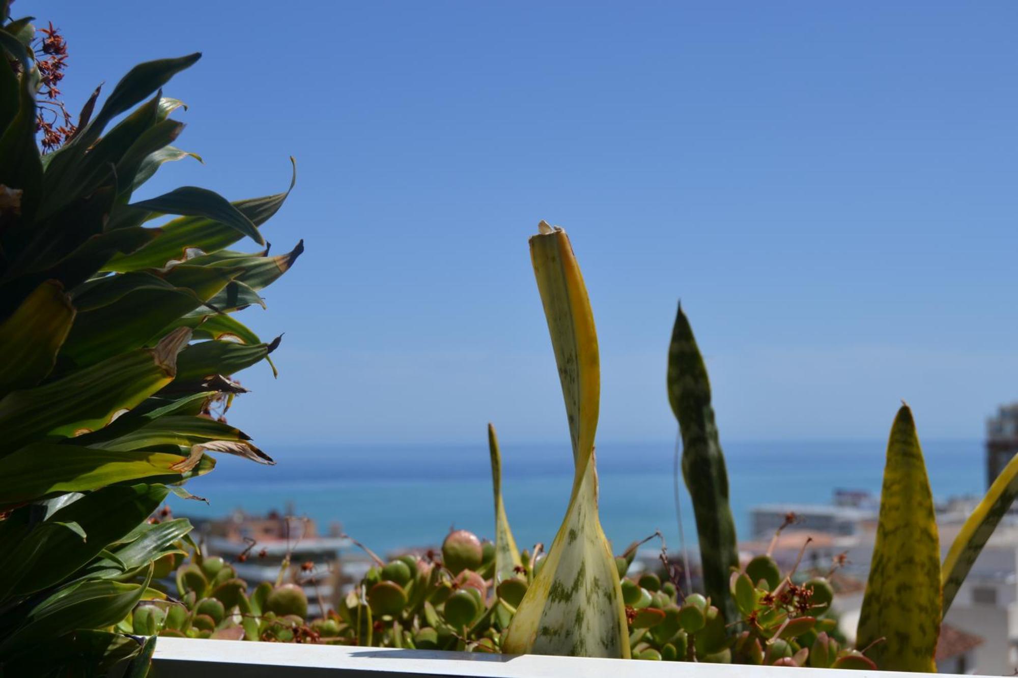 Light-Filled Apartment With Sea Views Torremolinos Dış mekan fotoğraf